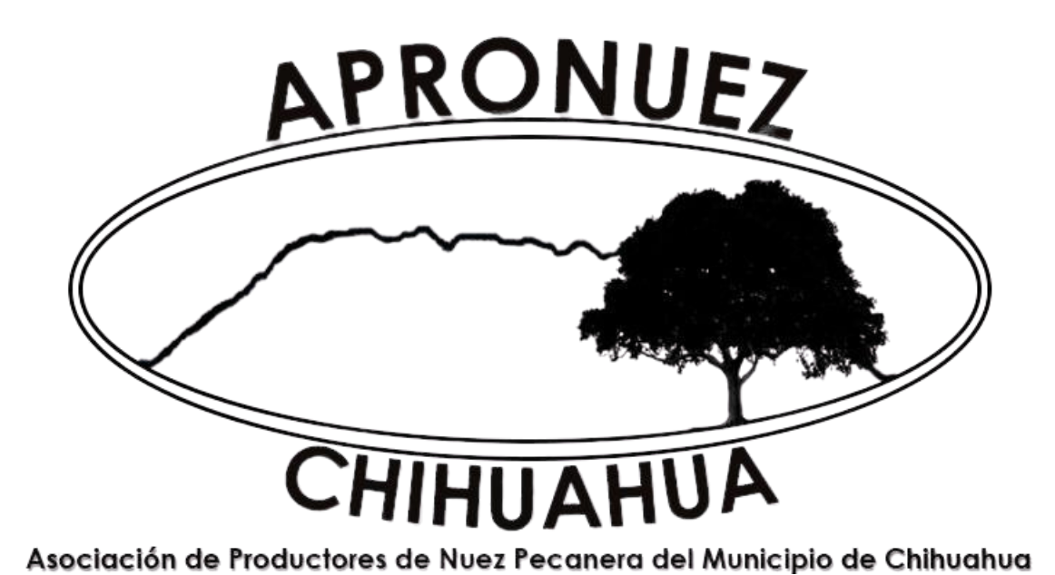 APRONUEZ