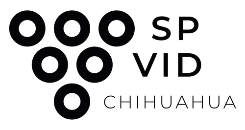 Cluster Vid